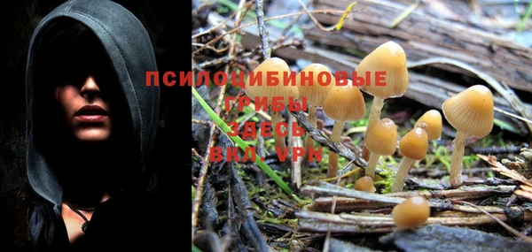 MDMA Вяземский
