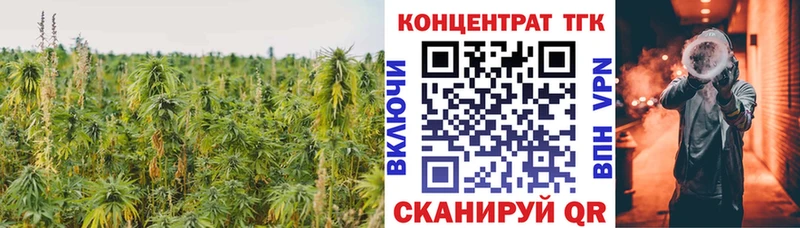 ОМГ ОМГ как зайти Снежинск ТГК вейп с тгк